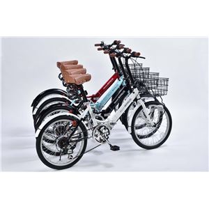 MYPALLAS(マイパラス) 折畳自転車20・6SP・オートライト M-204-RD レッド