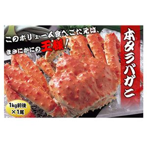 ˤޤåȡܥ 1磻 2Ӥ 2˲2