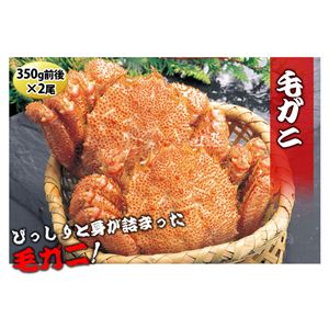ˤޤåȡܥ 1磻 2Ӥ 2˲4