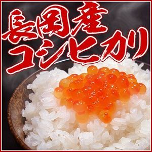 新潟県長岡産コシヒカリ20kg(10kg×2袋) - 拡大画像