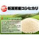 新潟県長岡産コシヒカリ30ｋｇ（5ｋｇ×6袋） - 縮小画像3