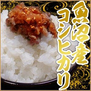 松田さんちの魚沼産コシヒカリ30kg（5ｋｇ×6袋） - 拡大画像
