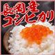 平成22年産新米!新潟県長岡産コシヒカリ30kg(10kg×3袋) - 縮小画像1