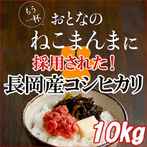 平成23年産 中村さんちの新潟県長岡産コシヒカリ白米 10ｋｇ（5ｋｇ×2袋）