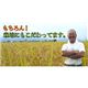 ʿ21ǯ ¼ο㸩Ĺҥ긼 20101+52ޡ ̿5