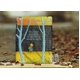 ipad2 ケース Jimmy-ipad2-5 Jimmy シリーズ