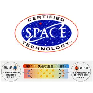 日本製 NASAのために開発されたアウトラスト(R)素材使用 すやすやピロー