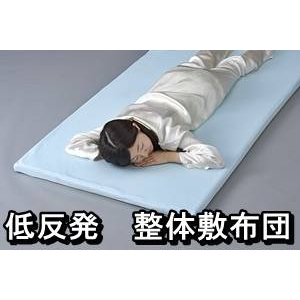 低反発 整体敷布団（専用カバー付き） シングル