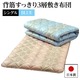 背筋すっきり3層敷き布団 シングルブルー 綿100% 日本製