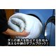 高密度防ダニ生地使用 洗えるふかふか敷布団 シングルブルー 日本製 - 縮小画像2