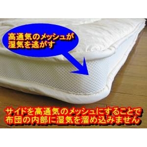 �􂦂�z�c���ʋC 3�w���b�V���y�ʕ~�z�c �V���O���x�[�W�� ��100% ���{��