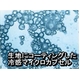 涼感カプセルのひんやり感 クールラッセル敷パット ダブルブルー - 縮小画像6