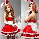 �R�X�v�� �������J�`���[�V���t�T���^�o�j�[ 4�_�Z�b�g �� C295�̏ڍׂ�����