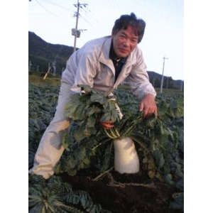 植物に活力を与える酵素 NT酵素8 20kg