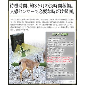 【防犯カメラ】 【アーミータイプ】人感センサー搭載 待機稼働3ヶ月 小型カメラ/防犯カメラ 不可視赤外線 トレイルカメラ(ビデオカメラ) 【TRAIL GUARD typeN - トレイルガード ノーマルタイプ -】(MS-200HTM) 【防犯カメラ】 【アーミータイプ】人感センサー搭載 待機稼働3ヶ月 小型カメラ/防犯カメラ 不可視赤外線 トレイルカメラ(ビデオカメラ) 【TRAIL GUARD typeN - トレイルガード ノーマルタイプ -】(MS-200HTM)