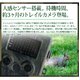 【ブラックタイプ】人感センサー搭載 待機稼働3ヶ月 小型カメラ/防犯カメラ 不可視赤外線 トレイルカメラ(ビデオカメラ) 【TRAIL GUARD typeN - トレイルガード ノーマルタイプ -】(MS-200HTM) - 縮小画像2