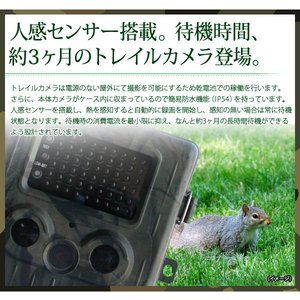 【防犯カメラ】【microSDカード8GBセット】 【アーミータイプ】人感センサー搭載 待機稼働3ヶ月 小型カメラ/防犯カメラ 不可視赤外線 トレイルカメラ(ビデオカメラ) 【TRAIL GUARD typeN - トレイルガード ノーマルタイプ -】(MS-200HTM) 【防犯カメラ】【microSDカード8GBセット】 【アーミータイプ】人感センサー搭載 待機稼働3ヶ月 小型カメラ/防犯カメラ 不可視赤外線 トレイルカメラ(ビデオカメラ) 【TRAIL GUARD typeN - トレイルガード ノーマルタイプ -】(MS-200HTM)