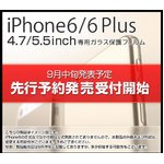 【先行予約発売：2014年9月下旬より順次発送】【iPhone6 (4.7インチ) 対応】強化ガラス製 耐衝撃保護フィルム 【NET-FLIP06-S】