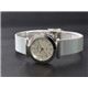 SKAGEN（スカーゲン） 腕時計 メッシュ レディース 107SGSC - 縮小画像2
