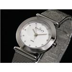 SKAGEN（スカーゲン） 腕時計 メッシュ レディース 107SSSD