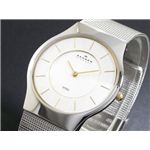 SKAGEN（スカーゲン） 腕時計 メンズ 233LGSC