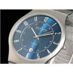 SKAGEN（スカーゲン） 腕時計 ウルトラスリム チタン 233XLTTN