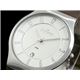 SKAGEN（スカーゲン） 腕時計 メンズ 233XXLSL