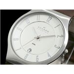 SKAGEN（スカーゲン） 腕時計 メンズ 233XXLSL