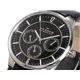 SKAGEN（スカーゲン） 腕時計 メンズ 331XLSLB
