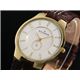 SKAGEN（スカーゲン） 腕時計 レザー メンズ 433LGL1