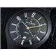 SKAGEN（スカーゲン） 腕時計 セラミック 817LBXC