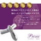 プラチナマイクロカレントローラー・プラチナゲルマ電子ローラーProna（プローナ） v2type - 縮小画像2