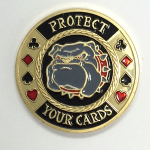 カードプロテクター「Protect Your Cards」 商品写真1