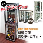 縦横自在飾りキャビネット ブラック （2ケ口）