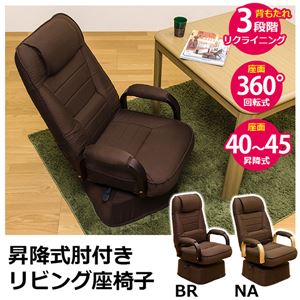 リビング座椅子(リクライニングチェア/回転椅子) 昇降式肘付き ナチュラル 【完成品】 商品画像