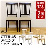 YAS-52WAL （2.8）CITRUS ダイニングチェア 2脚入り WAL