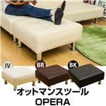 HSW-14BK （2.4）OPERA オットマンスツール BK（黒）