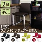 スタッキングチェア/ダイニングチェア 【同色2脚セット】 ブラック 『TESS』 張地：ファブリック生地 スチール脚 【完成品】