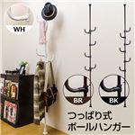 つっぱり式ポールハンガー/衣類収納 【ブラック】 高さ216.5cm〜271cm スチールフレーム フック6個付き 見せる収納