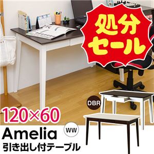 【在庫処分品】引き出し付きテーブル/パソコンデスク 【幅120cm×奥行60cm】 ホワイトウォッシュ 木脚 『Amelia』