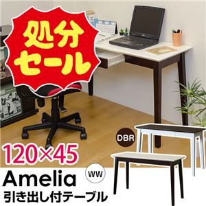 【在庫処分品】引き出し付きテーブル/パソコンデスク 【幅120cm×奥行45cm】 ホワイトウォッシュ 木脚 『Amelia』