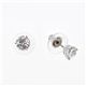 Swarovski（スワロフスキー） レディース ピアス 1800046