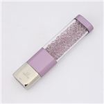 Swarovski（スワロフスキー） 1144827 USB　【ブランド箱入り】