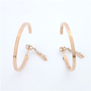 Folli Follie（フォリフォリ） 1E0T007R ピアス