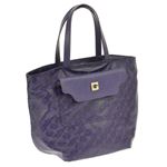 GHERARDINI（ゲラルディーニ） GH1162 TP／AUBERGINE