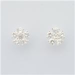 Folli Follie（フォリフォリ） JA2950ZI／CLE ピアス