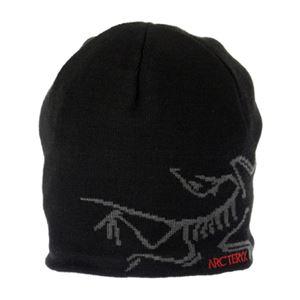 ARC'TERYX（アークテリクス） 5681 BIRD HEAD TOQUE／BLKBI 財布・小物