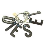 DIESEL（ディーゼル） X02051-PR378／H5019 キーリング