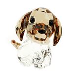 Swarovski（スワロフスキー） 5063329 アクセサリー