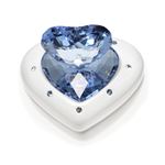 Swarovski （スワロフスキー） 5115541 アクセサリー